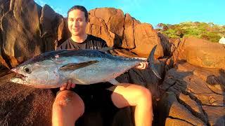 Catching tunas all day! Land base game fishing NSW