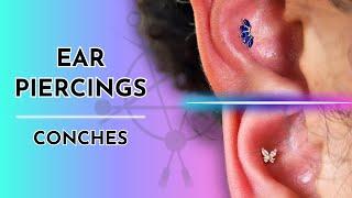 Ear Piercings | Conches (with 14k Gold Jewelry) 