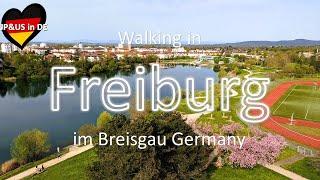 【Freiburg im Breisgau】Walking in Freiburg im Breisgau Germany / Walking Tour