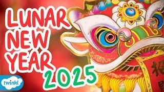 What is Lunar New Year? | Chinese New Year for Kids