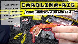 Dieses Finesse Rig sollte jeder Angler kennen | Das CAROLINA-RIG | Barsche lieben es 