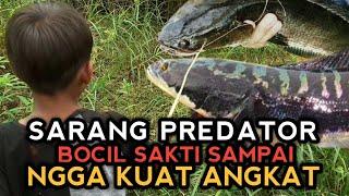 GOKIL | BOCIL SAKTI PALING TAU TEMPAT SARANG IKAN !!