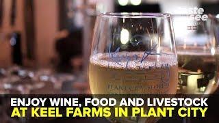 Grab a glass of wine and check out Keel Farms in Plant City