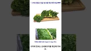 야채왕 쌈배추 쌈추 1kg(0.9~1kg) 1박스 가성비 꿀맛 #shorts 내돈내산