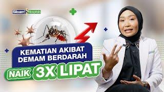 Demam Berdarah - Ketahui Ciri-Ciri DBD dan Cara Mengobatinya