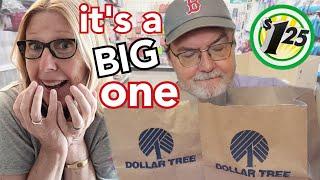 DOLLAR TREE HAUL | NEVER SEEN THIS  HAULED | HUGE | ALL NEW FINDS AT DOLLAR TREE #haul #dollartree