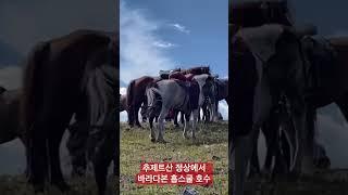 몽골추제트산정상에서 바라다본 홉스굴 호수