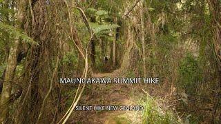 Silent Hike to Maungakawa Summit | Te Tapui Loop Trail Adventure (New Zealand)