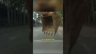 Тракторист показал, кто тут главный на дороге!