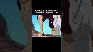 결국 패기만을 연마한 비능력자들이 바다의 정점을 차지하고 있는 이유 #원피스