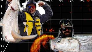 Arctic Tarpon Fishing Road Trip (ft. Joe Cooper, from the University of Time on the Water)