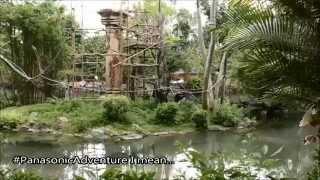 Animal Encounters in Animal Kingdom WDW Gibbons + Giant Anteater