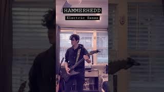 electric sense. hammerhedd (guitar cover)