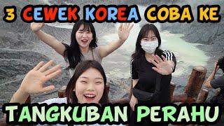 vlog#19 CEWEK KOREA KAGET SAMA PEMANDANGAN ALAM INDO + BIAYA MASUKNYA di Tangkuban Perahu, Bandung