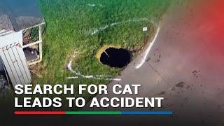 Woman searching for cat may have fallen in a sinkhole