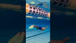 What An Olympic Swimmer's Underwater Dolphin Kick Looks Like