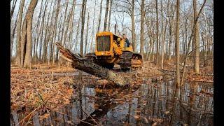 Caterpillar RD-6 EXPLODES Rotten Oak Tree with Cable!