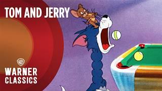 Tom And Jerry | Cue Ball Cat (1950 Full Episode) | Warner Classics