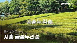 곰솔누리숲 #레터링채널 조형물 통한 경관 조성 by에스티엔D&L