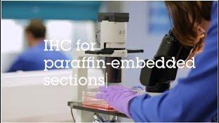 IHC for paraffin embedded sections video protocol