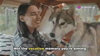 Husky Adventures: Top Tips for Traveling with Your Furry Friend