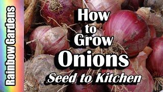 How to Grow Onions, Seed to Kitchen! Problems, Harvest, Curing, Save Seed, Start from Seed, More!