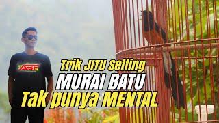 MURAI MENTAL KRUPUK JADI MENTAL BAJA || SILAHKAN BUKTIKAN SAJA‼️