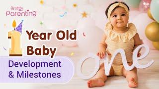 1 Year Old Baby - Development and Milestones