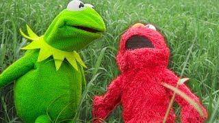 Kermit the Frog and Elmo's Backyard Challenge!