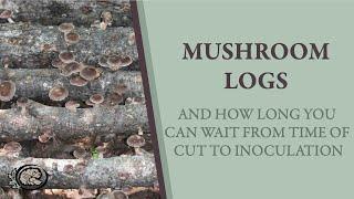 How Long Can I Store my Mushroom Logs BEFORE Inoculating?