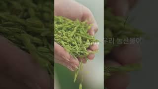[기업 홍보영상 영상] 시드앤솔 #영상제작 #기업홍보영상