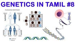 Genetics in Tamil 8: Complementary Genes & Supplementary Genes - Rajus Biology