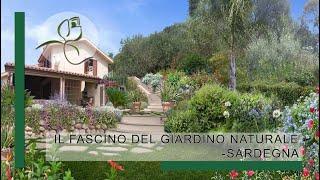 Il fascino del giardino naturale- Sardegna211