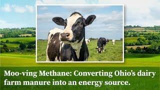 Moo-ving Methane: Converting Ohio’s dairy farm manure into an energy source