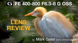 Sony FE 400-800 G OSS Lens Review