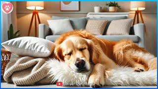 20 Hours of Calming Dog Music  Anxiety & Stress Relief  Soothing Sounds for Deep Sleep