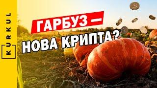 Гарбузи — золото дурнів чи вигідний бізнес? Де купити насіння? / Куркуль