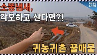 농지로 활용 가능한 1470평 임야, 이 가격 실화냐?