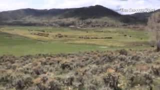 Horseback riding at the @clazyu ranch in Grsnby