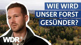 Wald retten für die Zukunft: Der Kampf gegen Dürre & Borkenkäfer | Westpol | WDR