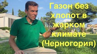 Хороший газон без усилий в жарком климате, Черногория и др. жаркие страны. Две важные составление