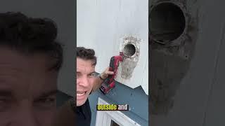 Keep birds out of your bathroom vents with Whatcom Handyman