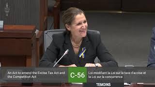 MP Julie Dzerowicz Questions Deputy Prime Minister Chrystia Freeland on Bill C-56