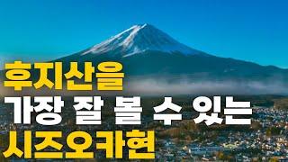 한국인 90%가 모르는 시즈오카현의 매력 / 후지산만 제대로 봐도 여행 성공 / 일본의 녹차 산지 /