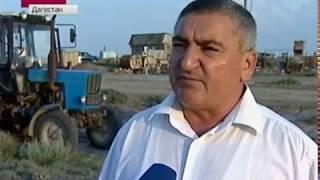 Нашествие саранчи на юге России (новость на ОРТ)