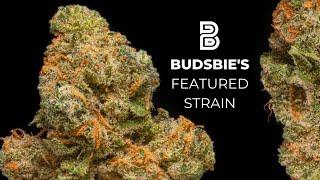 Budsbie's Featured Strain: Baldor from Fluent