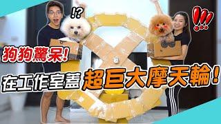 實現狗狗遊樂園夢想！在工作室打造超大狗狗摩天輪！愛犬驚訝到下巴掉下來！【希露弟弟啃雞腿】比熊 貴賓 Bichon Frise Poodle