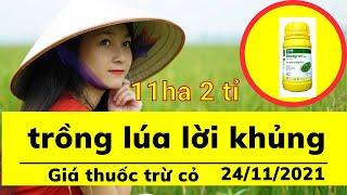 giá vật tư nông nghiệp Giá thuốc bảo vệ thực vật và mô hình canh tác 11ha 2 tỷ