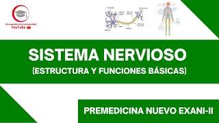 SISTEMA NERVIOSO (ESTRUCTURA Y FUNCIONES BÁSICAS) | PREMEDICINA | NUEVO EXANI-II