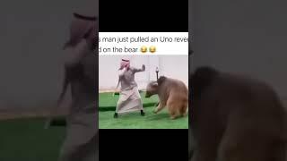 Playing tag with a bear #insan #crazy #bear #funny #shorts #trending #reels #viral